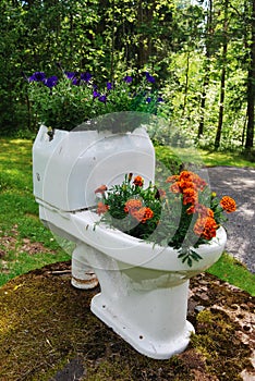 Flowerpot bowl of flowers in the garden