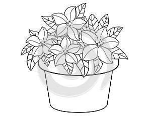 Flowerpot with flowers. Vector linear drawing for coloring. Beautiful, lush flowers and leaves in a flower pot pattern for childre