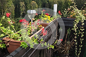 Flowerpot full of flowers and decorative lamp