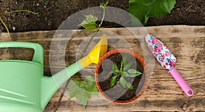 Flowerpot, garden shovel and watering can