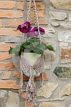 Flowerpot hanging against stone wall in cotton rope holder