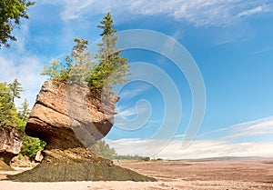 Flowerpot at Hopewell Rocks, New Brunswick, Canada