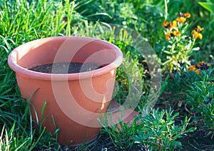 Flowerpot prepared for planting