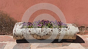 Flowerpot of purple pansies on a wooden trunk