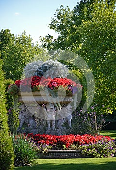 Flowerpot in Regents Park in London