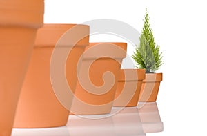 Flowerpot in a row