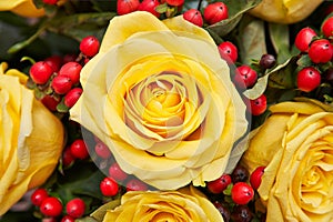 Flowerpot with yellow roses