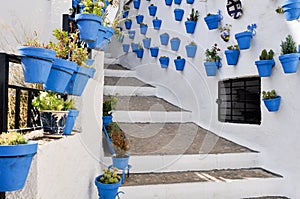 Flowerpots in an Andalusian town photo