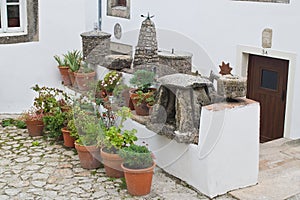 Flowerpots and dolmen photo