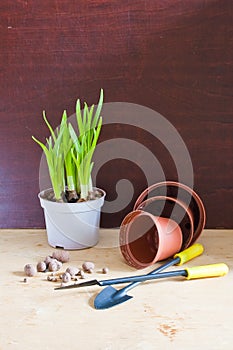 Flowerpots and garden tools