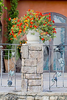 Flowerpots and house plants on the balcony