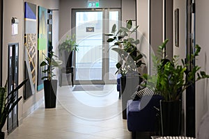 Flowerpots with indoor plants to decorate the interior of the hospital.