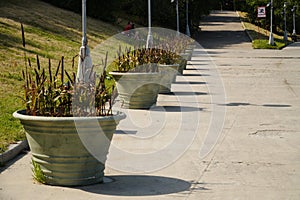 Flowerpots with plants along the embankment of the Moskva River near the Kremlin in Moscow. Moscow, Russia