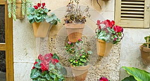 flowerpots street in the tourist island of Mallorca, Valdemosa c photo