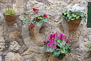 flowerpots street in the tourist island of Mallorca, Valdemosa c photo