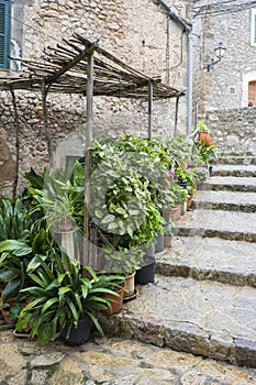 flowerpots street in the tourist island of Mallorca, Valdemosa c photo