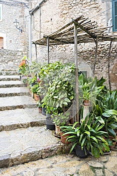 flowerpots street in the tourist island of Mallorca, Valdemosa c photo