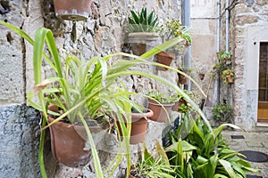 flowerpots street in the tourist island of Mallorca, Valdemosa c photo