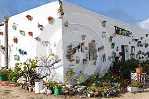 Flowerpots on the walls of Vejer De La Frontera, Spain photo