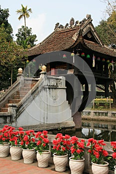 Flowerpots were installed in the courtyard of a buddhist temple (Vietnam) photo