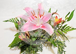 Decoration with pretty pink lily. oriental. Lily stargazer. Lilium. Liliaceae.