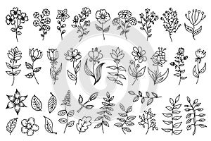 Flowers, branches and leaves, vectot thin line illustration set, floral design elements isolated on white background