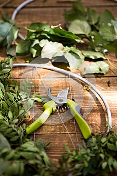 Gardening scissors flowers and accessories