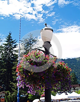 Flowers Adorning the Streets of Leavenworth