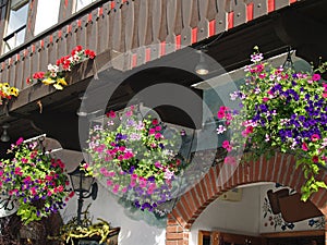 Flowers Adorning the Streets of Leavenworth