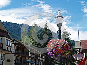 Flowers Adorning the Streets of Leavenworth photo