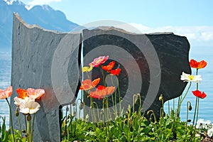 Flowers against mountains and lake Geneva