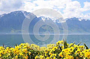 Flowers against mountains and lake Geneva from the Embankment in Montreux photo