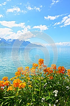 Flowers against mountains and lake Geneva from the Embankment in Montreux photo