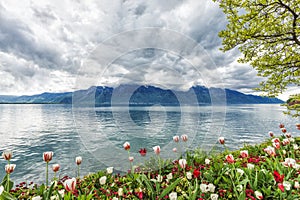 Flowers against mountains, Montreux. Switzerland photo