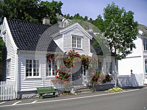 House with flowers