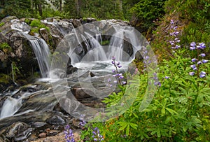 Paradise river cascades photo