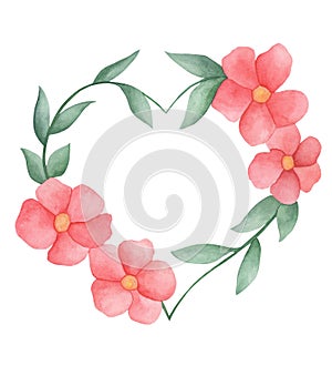 Flowers anemony with leaves love heart