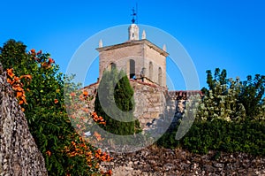 The flowers appear on the wall in front of the tower of a palace. Trujillo, CÃ¡ceres, Spain