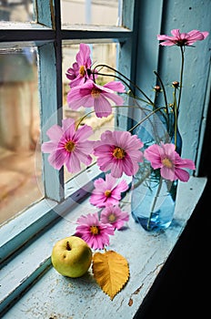 Flowers, apple and leaf on the old windowsill