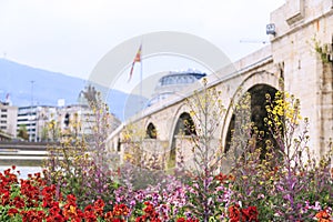 Flowers around Vardar River and the Ottoman Stone Bridge, Skopje