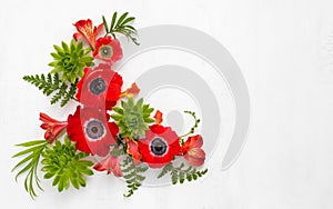 Flowers Arrangement. Composition of red anemone, tropical flowers, green succulent and leaves on light background. Top view