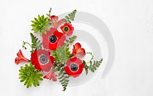 Flowers Arrangement. Composition of red anemons, green succulent and leaves on light background. Top view