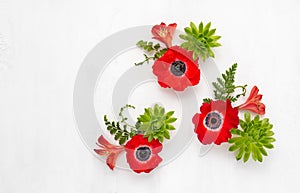 Flowers Arrangement. Composition of red anemons, green succulent and leaves on light background. Top view