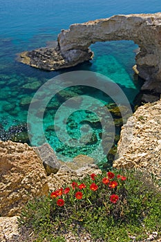 Flowers at ayia napa rock arch.