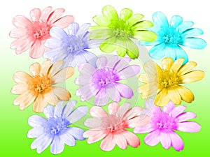 Flowers background photo