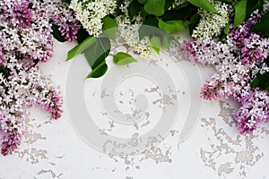 Flowers background. Bouquet of a branch of lilac spring flowers on a white wooden background.