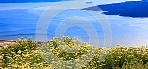 Flowers on the background of Nea Kameni - Santorini Greece