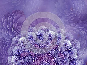 Flowers background Purple flowers chrysanthemum. Floral collage. Flower composition.
