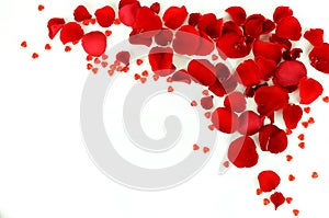 Flowers background. Red roses petals and red small hearts on white background