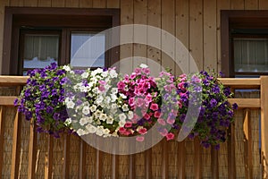 Flowers in the balcons photo